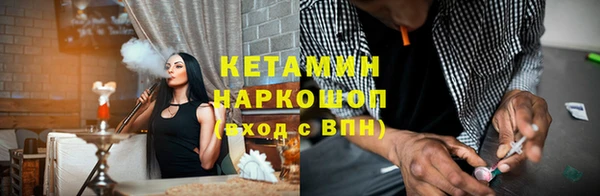 индика Алзамай