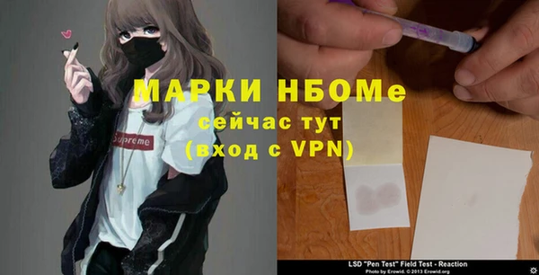 ГАЛЛЮЦИНОГЕННЫЕ ГРИБЫ Алексеевка