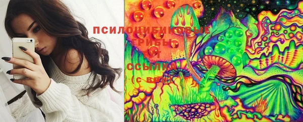 индика Алзамай