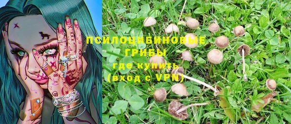 ГАЛЛЮЦИНОГЕННЫЕ ГРИБЫ Алексеевка