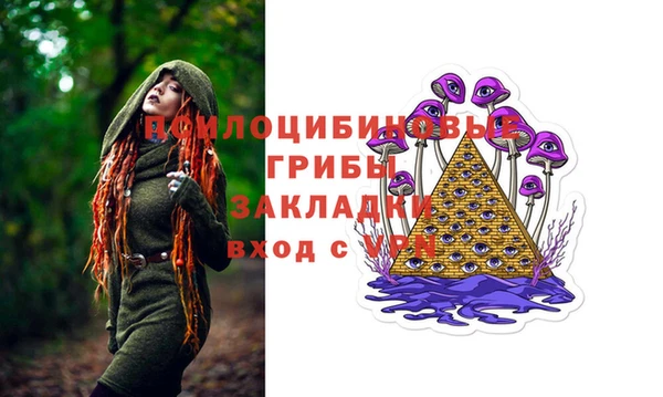 индика Алзамай
