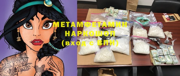 индика Алзамай