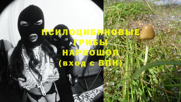 мяу мяу мука Алексин