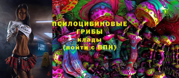 ГАЛЛЮЦИНОГЕННЫЕ ГРИБЫ Алексеевка