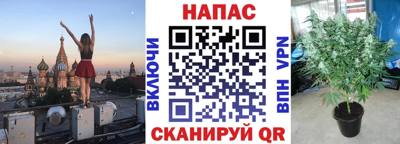Марихуана MAZAR Клин